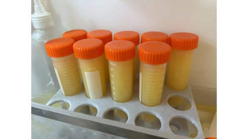 Jelly Food - Formulated food