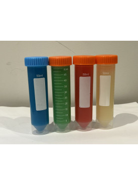 Jelly Food - Formulated food