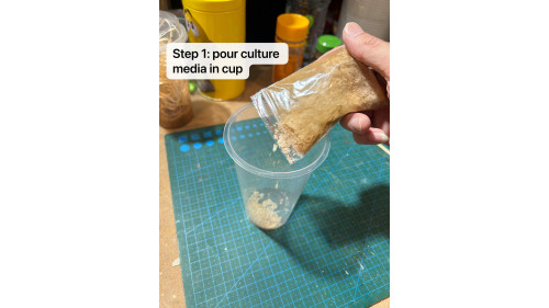 5 x bags of Flightless Fruit Fly culture media ( not include fly)