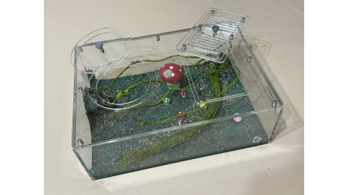 Large living area (350 x 240 x 105mm)  =forest=
