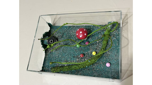 Large living area (350 x 240 x 105mm)  =forest=