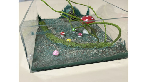 Large living area (350 x 240 x 105mm)  =forest=