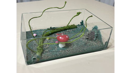 Large living area (350 x 240 x 105mm)  =forest=
