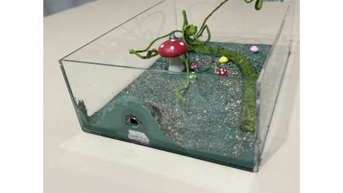 Large living area (350 x 240 x 105mm)  =forest=