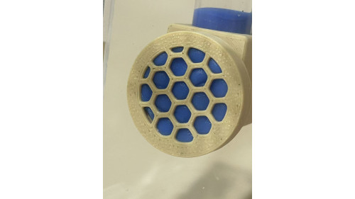 Jumping spider drinking tool