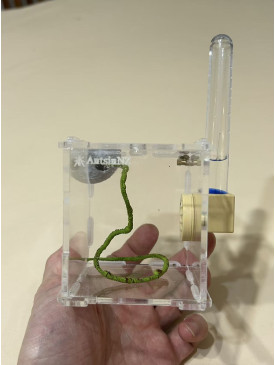 Jumping spider house set