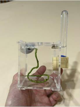 Jumping spider house set
