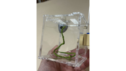 Jumping spider house set Jumping spider house set