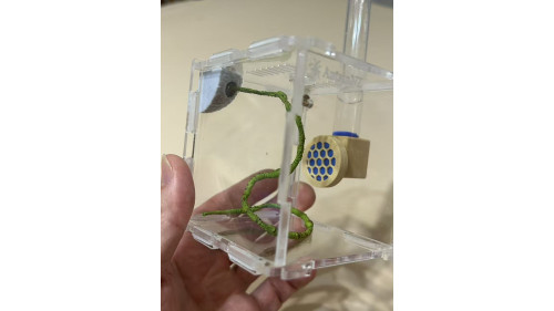 Jumping spider house set Jumping spider house set
