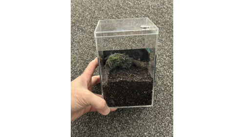 E3 Spider Enclosure – 10 x 10 x 15 cm (Full set) E3 Spider Enclosure – 10 x 10 x 15 cm (Full set)