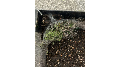 E3 Spider Enclosure – 10 x 10 x 15 cm (Full set) E3 Spider Enclosure – 10 x 10 x 15 cm (Full set)
