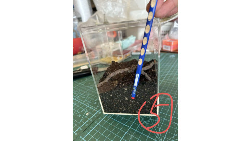E3 Spider Enclosure – 10 x 10 x 15 cm (Full set) E3 Spider Enclosure – 10 x 10 x 15 cm (Full set)