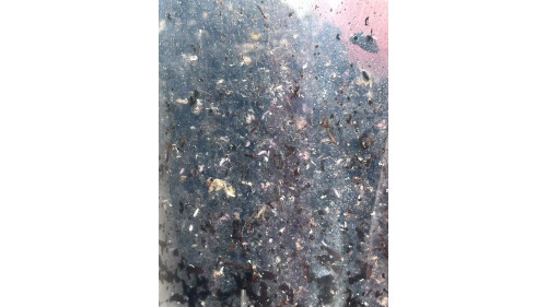 springtails Culture - Easy keep cup - "Gummy springtail"