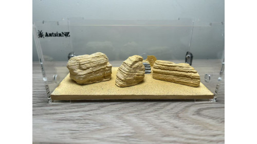 1 x cement made Decorate rock