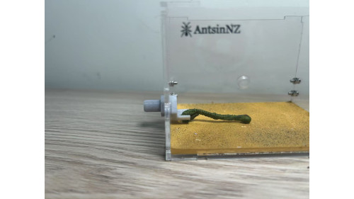 Connect tube Screw and nut for 10mm hole with climb design