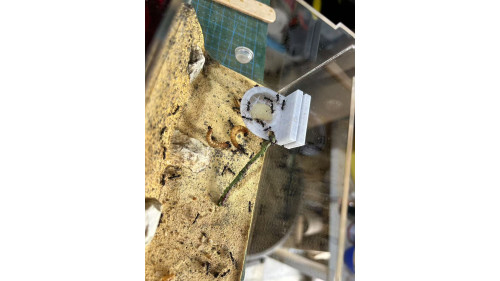 food plate on air (Preventing Ants from Drowning)