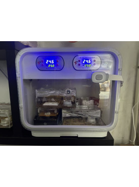 Dual temperature control brooder with auto air fan