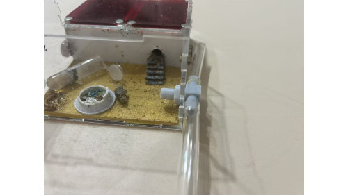 Connect T tube with nut