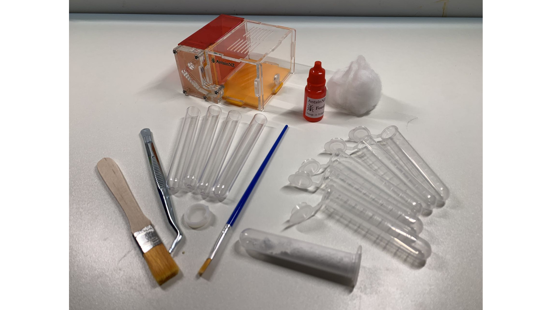 Tools : Ant keeper start kits