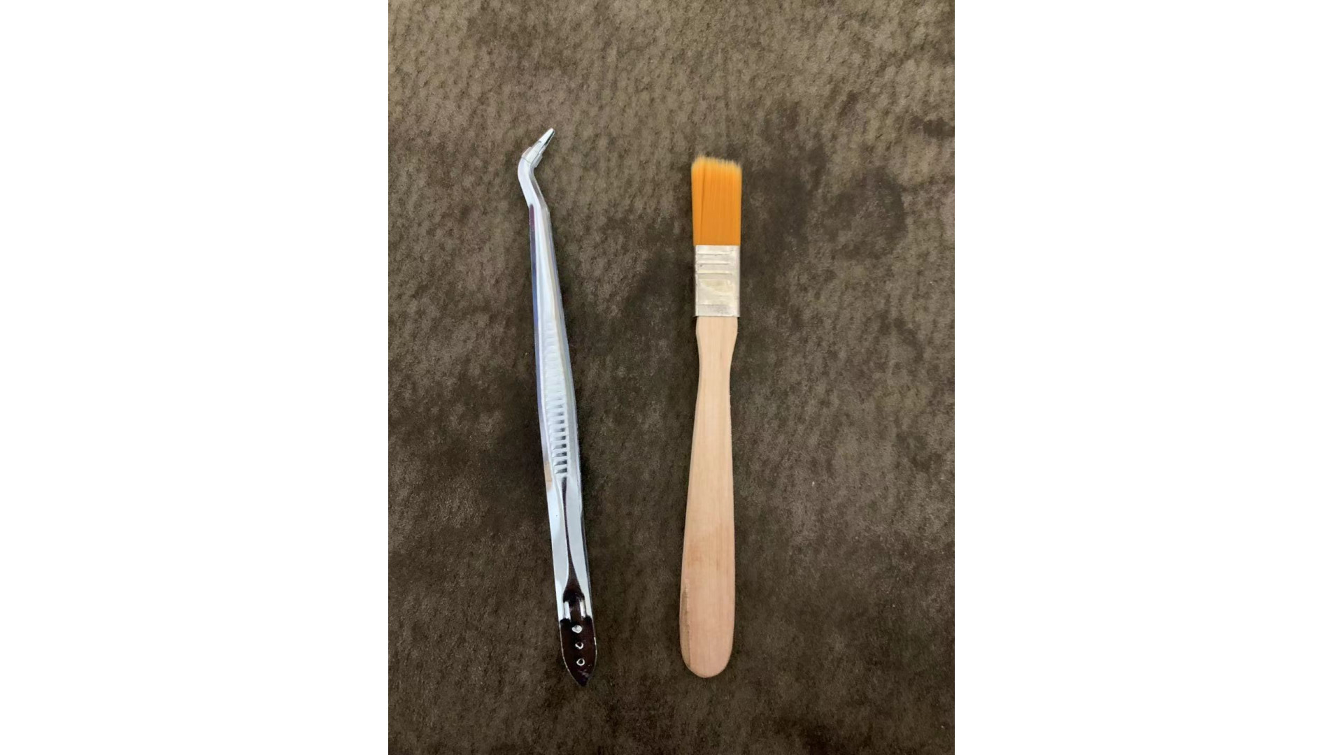 brush + Tweezers, ants tools