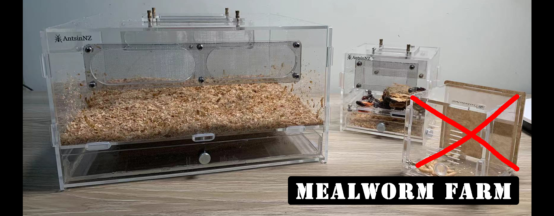 mealworm farm