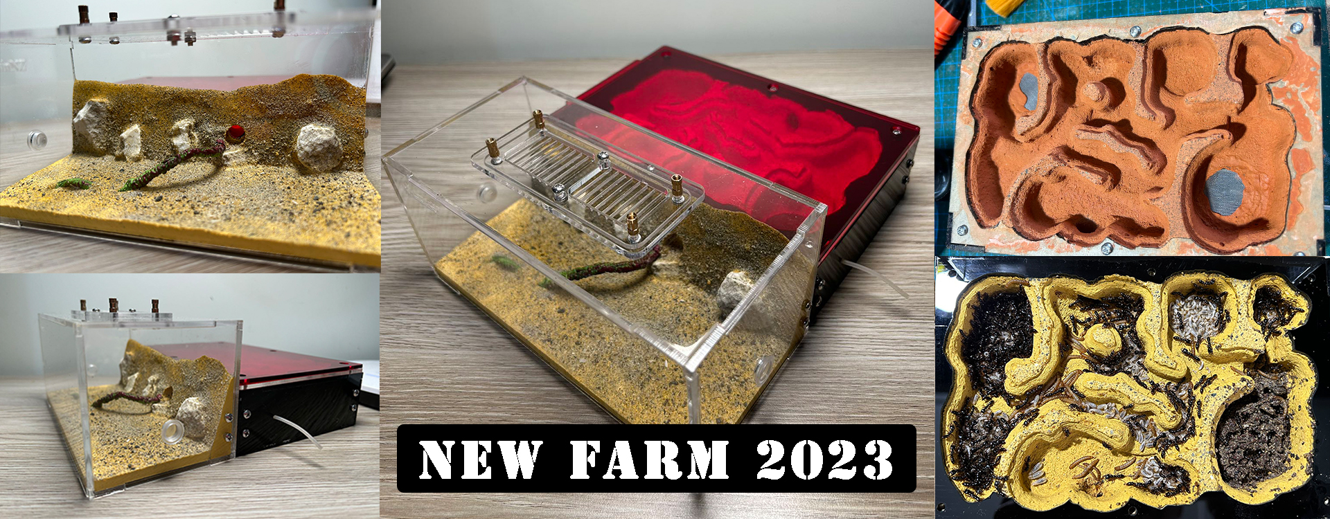 new farm